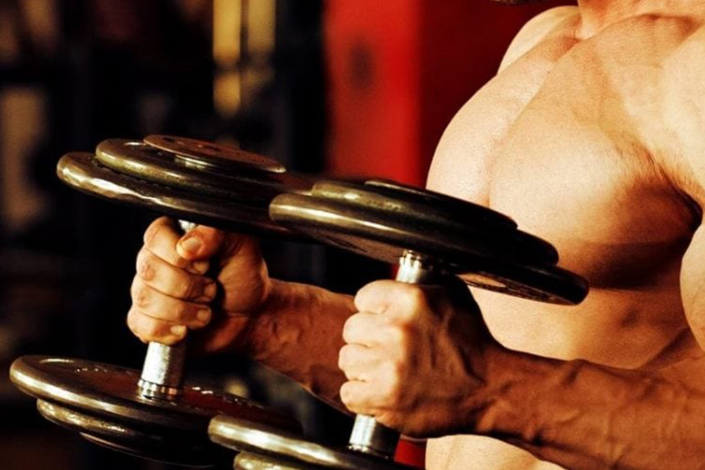 <a href="http://mosesdaniel.in/getshred#STRENGTH">CARDIO & MUSCLE STRENGTH TESTING</a>