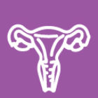 icons ovary 1