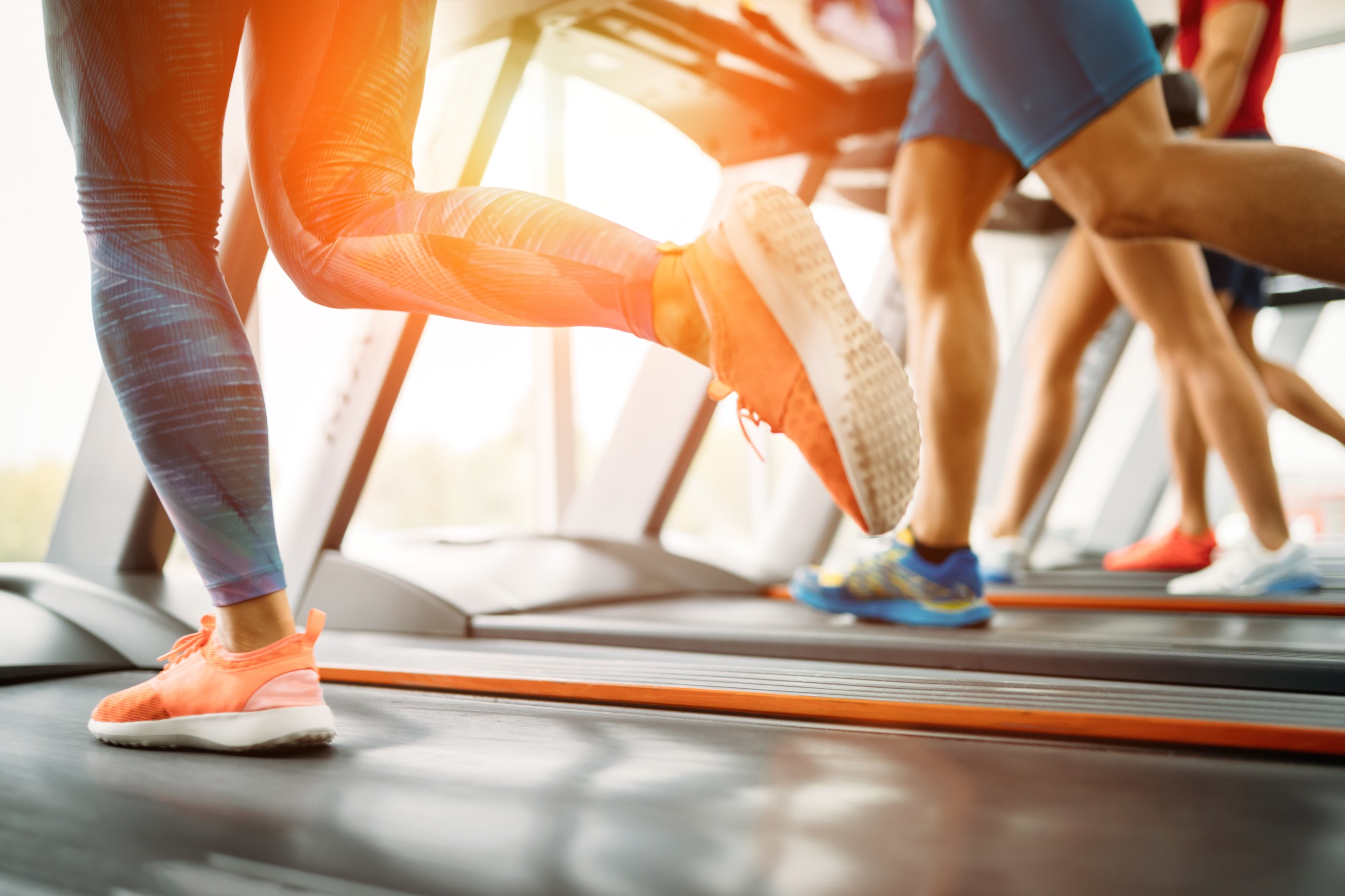 <a href="http://mosesdaniel.in/getshred#CARDIO">HIGH INTENSITY CARDIO PROGRAM</a>