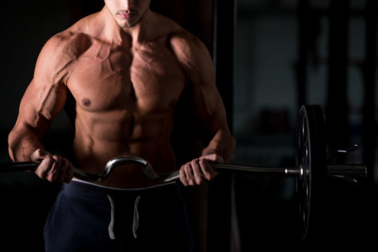 shred man 1024x683