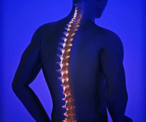 human spine PMHCG87